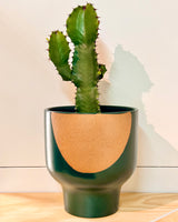 Maison Ember Ceramic Pot