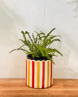 Luna Fleur Ceramic Pot - Plant Daddy