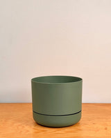 Selfwatering Plantpot by Mr. Kitly & Decor - Plant Daddy