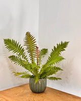 Leaf - line Ceramic Pot - Plant Daddy