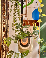 Lets Bloom Ceramic Hanging Pot - Plant Daddy