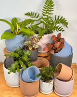 Tempo Ceramic Pot - Plant Daddy