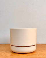 Selfwatering Plantpot by Mr. Kitly & Decor - Plant Daddy