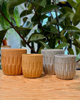 Seed Ceramic Pot - Plant Daddy