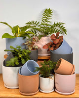 Tempo Ceramic Pot - Plant Daddy