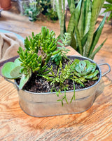 Succulent Trough - Potted Creation - Plant Daddy