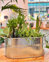 Succulent Trough - Potted Creation - Plant Daddy