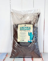 Premium Mineral Based Cactus & Succulents Potting Soil by Dr Greenthumbs - Plant Daddy