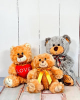 Plush Teddy Bear - Plant Daddy