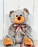 Plush Teddy Bear - Plant Daddy