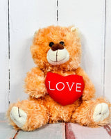 Plush Teddy Bear - Plant Daddy