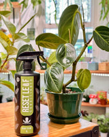 Reset Leaf Conditioner Ready To Use 1L - Plant Daddy