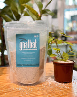 Gnat Bat - Plant Daddy