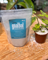 Gnat Bat - Plant Daddy