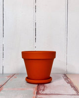 Eurocotta Terracotta Pot and Saucer - Plant Daddy