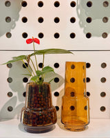 Lamp Light Glass Vase - Plant Daddy
