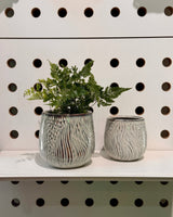 Coastal Ceramic Pot - Plant Daddy