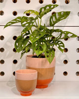 Neo Ceramic Pot - Plant Daddy