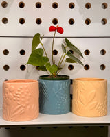Harvest Ceramic Pot - Plant Daddy