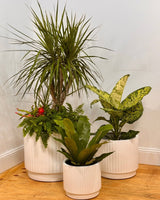 Breezy Lightweight Barrel Pot - Plant Daddy