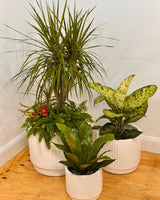 Breezy Lightweight Barrel Pot - Plant Daddy