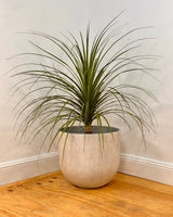 Three Sisters Stone Egg Pot - Plant Daddy