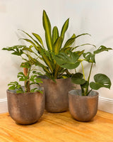Three Sisters Stone Egg Pot - Plant Daddy
