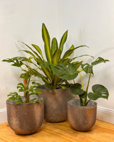 Three Sisters Stone Egg Pot - Volcanic - Plant Daddy