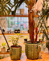 Spike Ceramic Pot - Plant Daddy