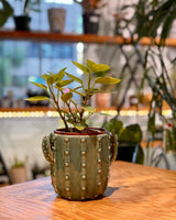 Spike Ceramic Pot - Plant Daddy