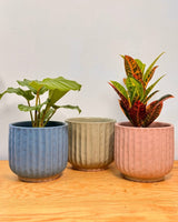 River Ceramic Pot - Plant Daddy