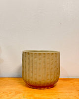 River Ceramic Pot - Plant Daddy