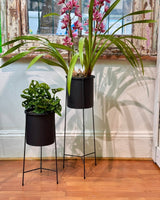 Luna Metal Plant Stand - Plant Daddy