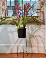 Luna Metal Plant Stand - Plant Daddy