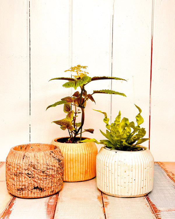 Hemp & Coconut fibre Rib Pot - Handcrafted in Canberra