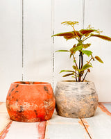 Eco Hemp & Coconut Koala Pot (Large) - Handmade by ECHÉ pots