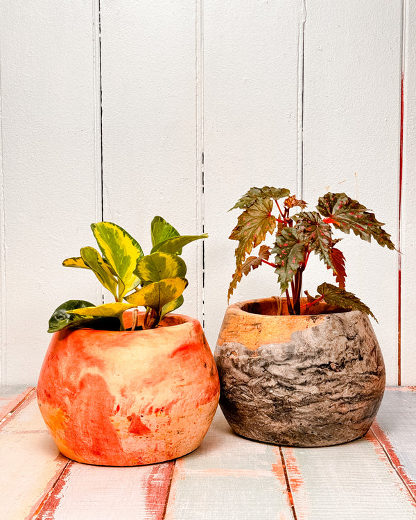 Eco Hemp & Coconut Koala Pot (Small)- handmade by Eché pots