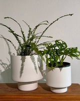 Gro Pot Ceramic - Plant Daddy
