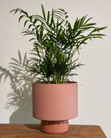 Gro Pot Ceramic - Plant Daddy