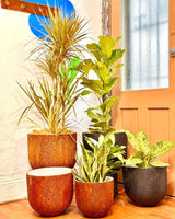 Crete Stone Egg Pot - Plant Daddy