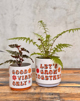 Vibes Ceramic Pot - Plant Daddy