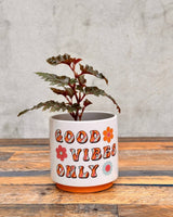 Vibes Ceramic Pot - Plant Daddy
