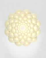 Jelly Ceramic Hanging Pot - Plant Daddy