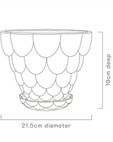 Jelly Ceramic Pot - Plant Daddy