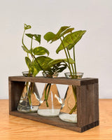 Beaker Propagation Station - Plant Daddy