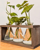 Beaker Propagation Station - Plant Daddy