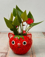 Berry Cute Cat Ceramic Pot - Plant Daddy