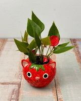 Berry Cute Cat Ceramic Pot - Plant Daddy