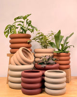 Bloom - wave Series Ceramic Pot - Plant Daddy