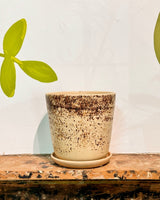 Cali Ceramic Pot - Plant Daddy